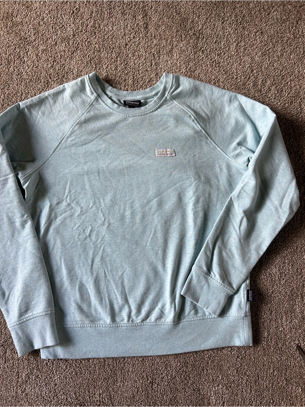 Patagonia Women's Pale Blue Crewneck Sweatshirt